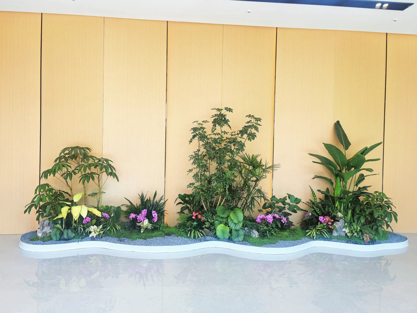 专业盆景租赁,慈溪这里的选择超棒!