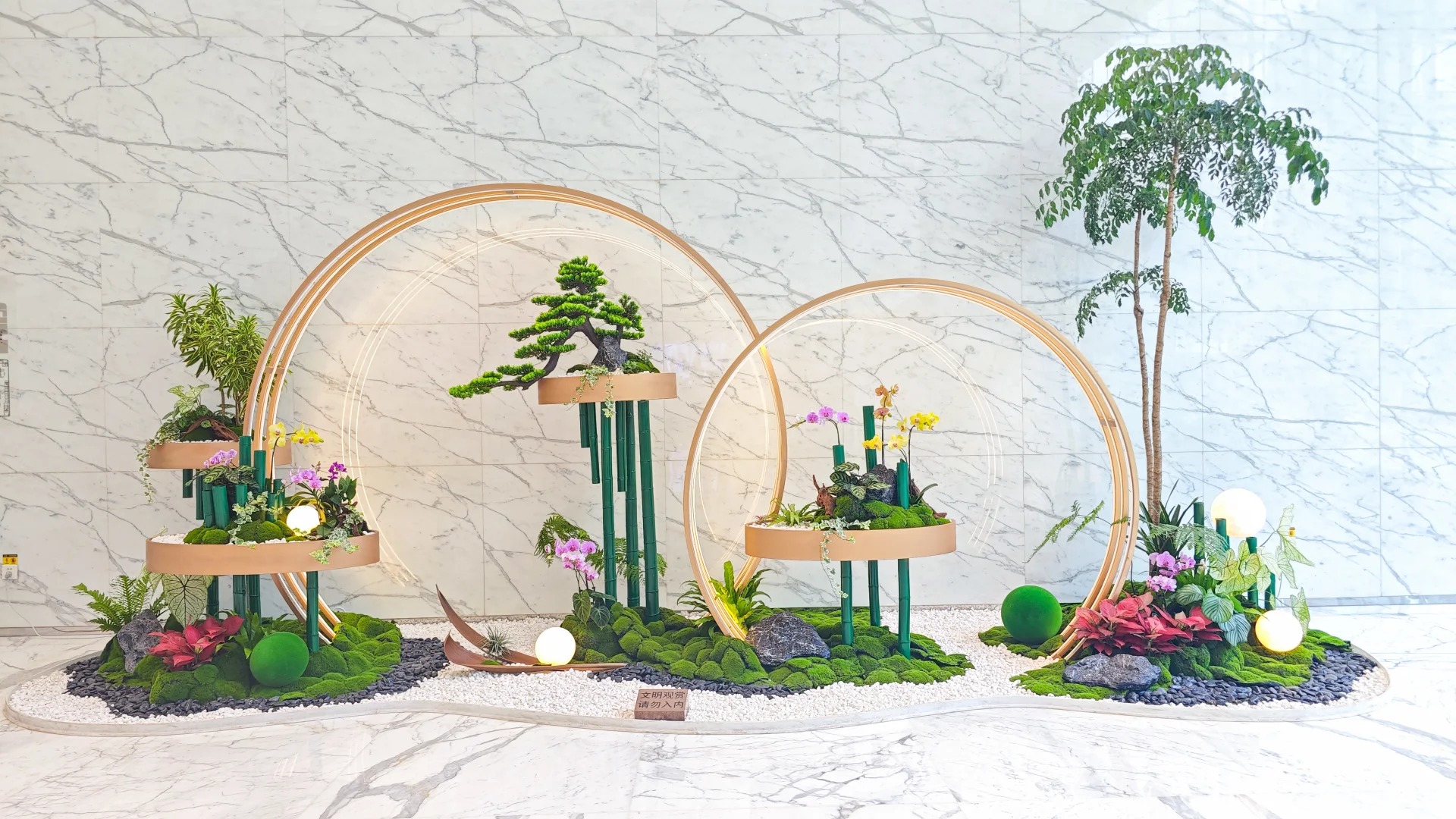 专业盆景租赁,宁波杭州湾的自然之美新选择
